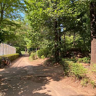 実際訪問したユーザーが直接撮影して投稿した松ケ丘公園松ヶ丘公園の写真