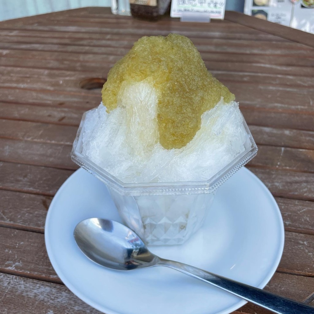 ユーザーが投稿したかき氷 うめの写真 - 実際訪問したユーザーが直接撮影して投稿した栄町カフェイチキュウロクマル コーヒーの写真