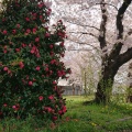 実際訪問したユーザーが直接撮影して投稿した高蔵町公園高蔵公園の写真