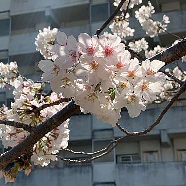 長崎東公園 運動場のundefinedに実際訪問訪問したユーザーunknownさんが新しく投稿した新着口コミの写真