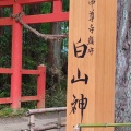実際訪問したユーザーが直接撮影して投稿した平泉神社白山神社の写真