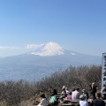 実際訪問したユーザーが直接撮影して投稿した仙石原山 / 峠金時山の写真