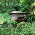 実際訪問したユーザーが直接撮影して投稿した野津田町公園薬師池公園の写真