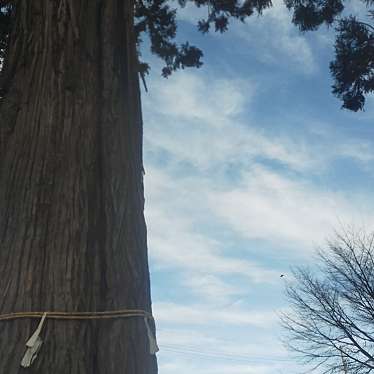 実際訪問したユーザーが直接撮影して投稿した耳取神社彌美登里神社の写真