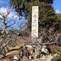 実際訪問したユーザーが直接撮影して投稿した国分町神社菅原神社の写真