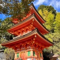 実際訪問したユーザーが直接撮影して投稿した早崎町神社竹生島神社の写真