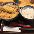 親子丼 - 実際訪問したユーザーが直接撮影して投稿した美沢町丼ものなか卯 茨木美沢店の写真のメニュー情報