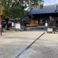 実際訪問したユーザーが直接撮影して投稿した春日町神社春日神社の写真