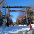 実際訪問したユーザーが直接撮影して投稿した萩ケ岡神社江別神社の写真