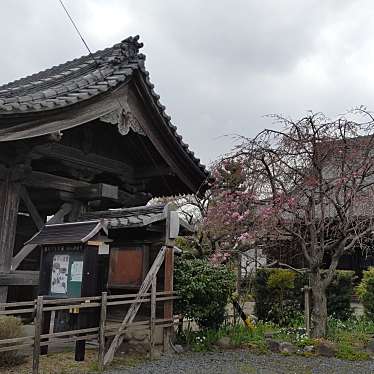 実際訪問したユーザーが直接撮影して投稿した岩塚町寺浄信寺の写真