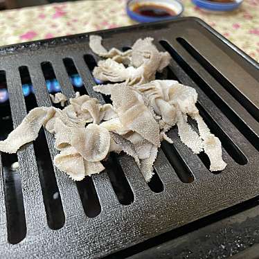 実際訪問したユーザーが直接撮影して投稿した平町肉料理焼肉 こるいの写真