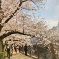 実際訪問したユーザーが直接撮影して投稿した河川大岡川の写真