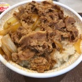 牛丼 - 実際訪問したユーザーが直接撮影して投稿した竹田久保町牛丼すき家 龍谷大店の写真のメニュー情報