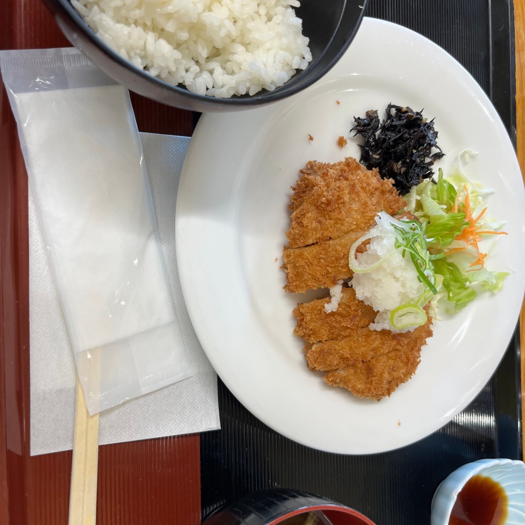 ユーザーが投稿した和風トンカツの写真 - 実際訪問したユーザーが直接撮影して投稿した鳥居松町洋食春日井市役所 展望レストランの写真