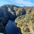 実際訪問したユーザーが直接撮影して投稿した天下野町橋竜神大吊橋の写真