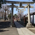 実際訪問したユーザーが直接撮影して投稿した千住宮元町神社千住神社の写真