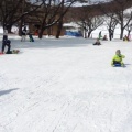 実際訪問したユーザーが直接撮影して投稿した福岡スキー場泉ヶ岳スキー場の写真