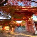 実際訪問したユーザーが直接撮影して投稿した浄土寺真如町寺真如堂の写真