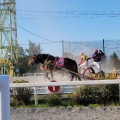 実際訪問したユーザーが直接撮影して投稿した西十三条南競馬場帯広競馬場の写真