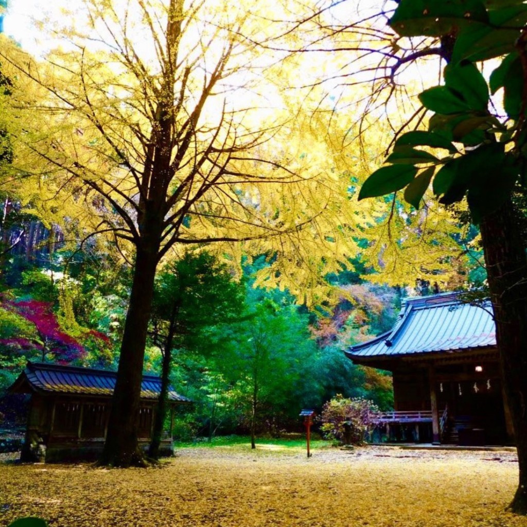 実際訪問したユーザーが直接撮影して投稿した東田中神社二岡神社の写真