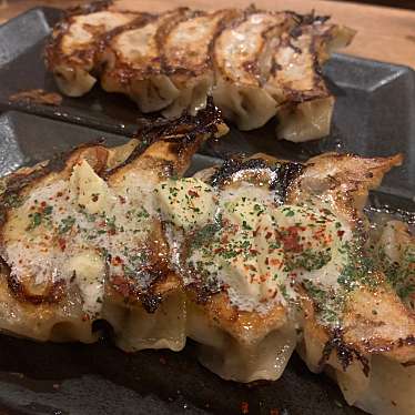 実際訪問したユーザーが直接撮影して投稿した餃子生餃子製造トコロ てんしんのきもちの写真