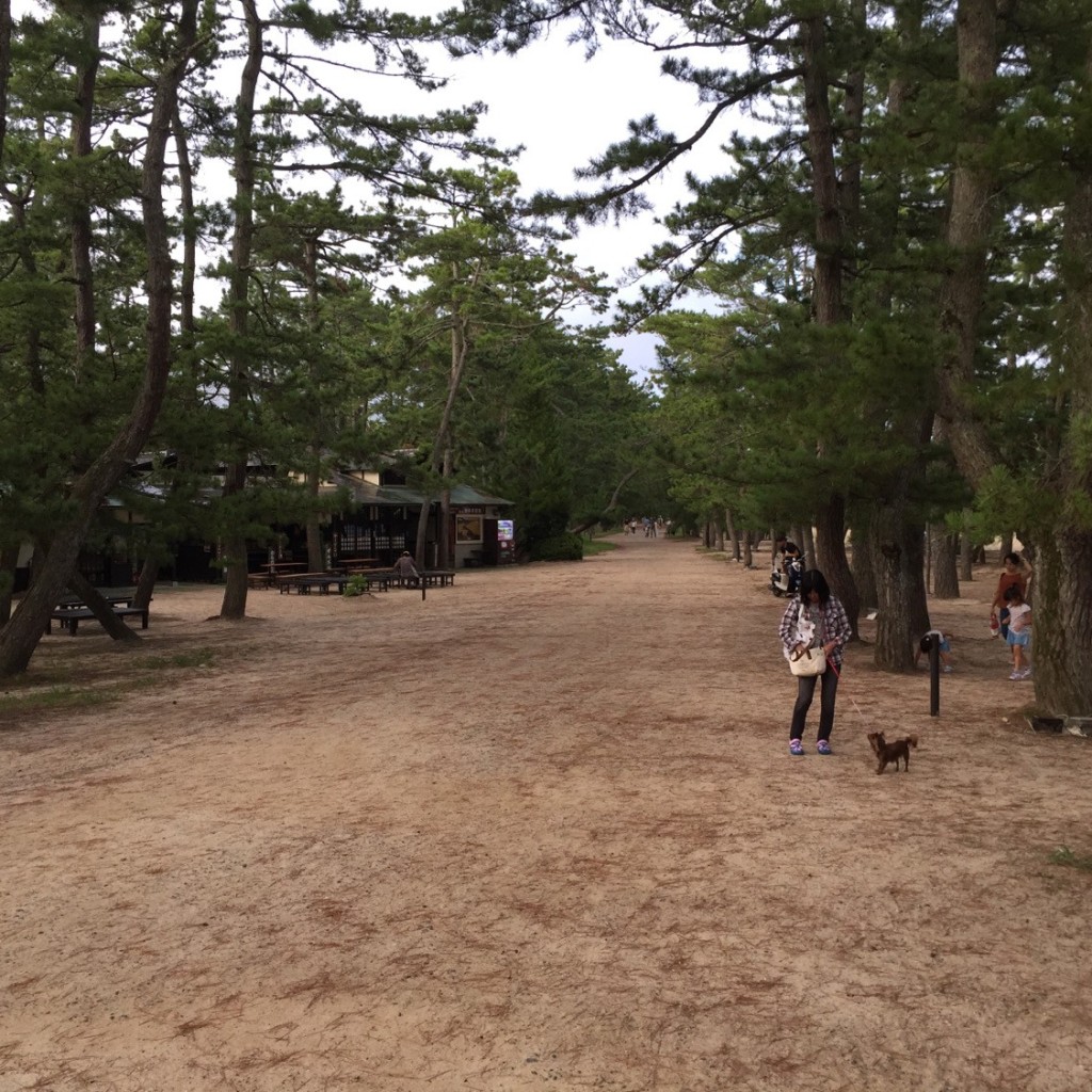 YUKさんが投稿した文珠海水浴場 / 海浜のお店天橋立海水浴場/アマノハシダテカイスイヨクジョウの写真