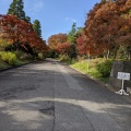 実際訪問したユーザーが直接撮影して投稿した千代田皇居 / 宮殿皇居の写真