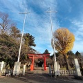 実際訪問したユーザーが直接撮影して投稿した下鶴間神社相州下鶴間 諏訪神社の写真