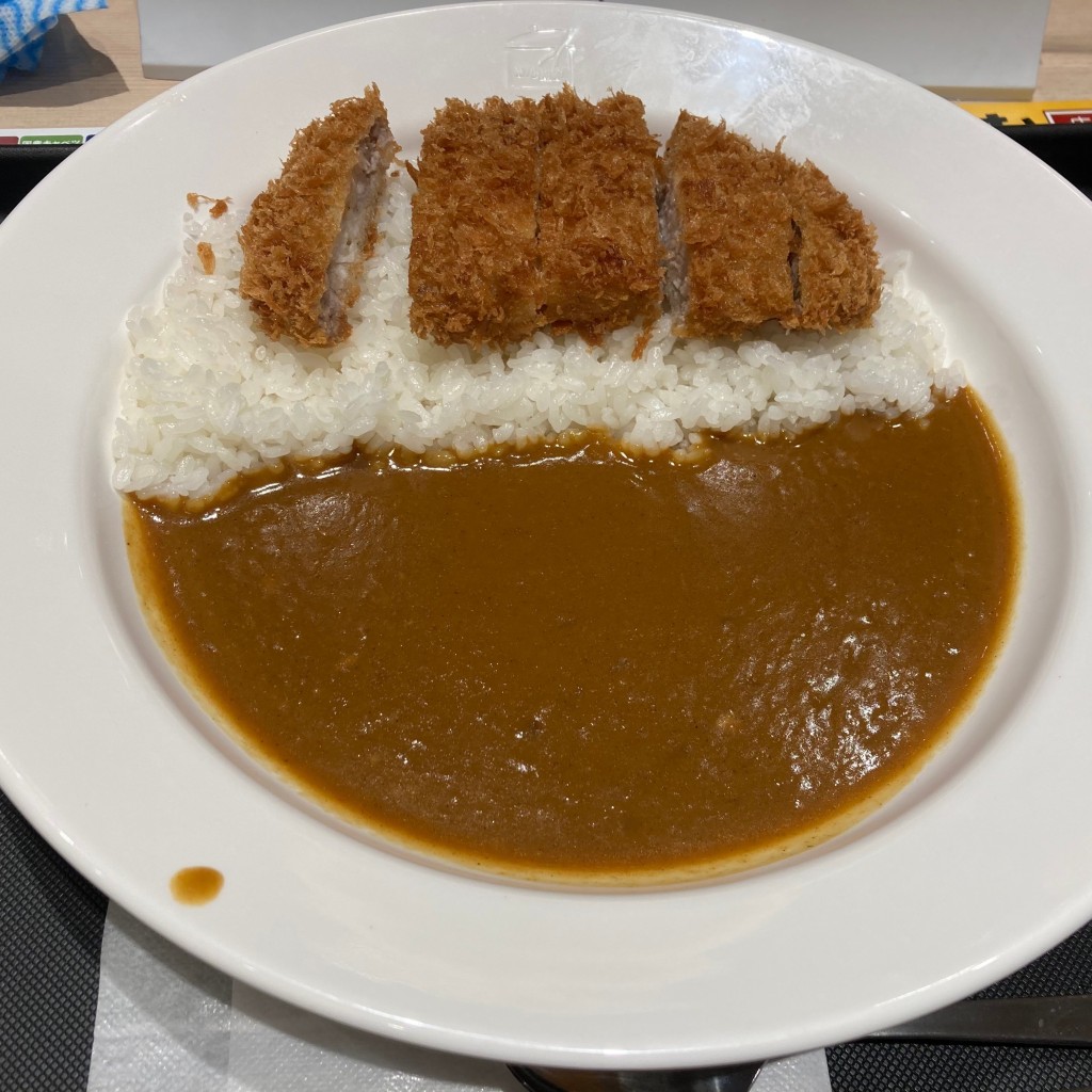 ユーザーが投稿したカツカレーの写真 - 実際訪問したユーザーが直接撮影して投稿した高根町とんかつ松のや 阪東橋店の写真