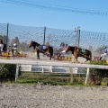 実際訪問したユーザーが直接撮影して投稿した西十三条南競馬場帯広競馬場の写真