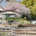 実際訪問したユーザーが直接撮影して投稿した畔吉観光牧場榎本牧場の写真