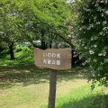 実際訪問したユーザーが直接撮影して投稿した日高町公園いわわき児童公園の写真