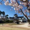 実際訪問したユーザーが直接撮影して投稿した本丸公園富山城址公園の写真