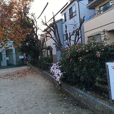 ぶどううり・くすこさんが投稿した杭瀬北新町公園のお店杭瀬大崩緑地/クイセオオクズレリョクチの写真