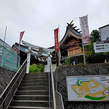 YST10さんが投稿した今津町神社のお店岩国白蛇神社/イワクニシロヘビジンジャの写真