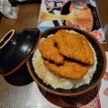 特製二段盛かつ丼 - 実際訪問したユーザーが直接撮影して投稿した南笹口丼ものかつ丼政家 新潟駅南店の写真のメニュー情報