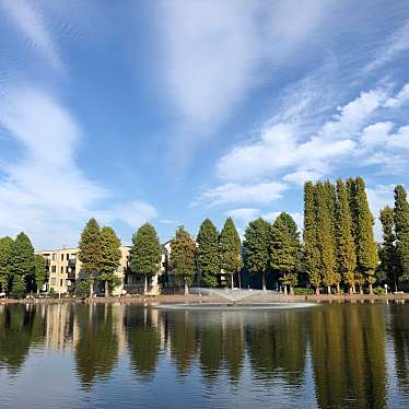 アババさんが投稿した公園のお店別所沼公園/ベッショヌマコウエンの写真