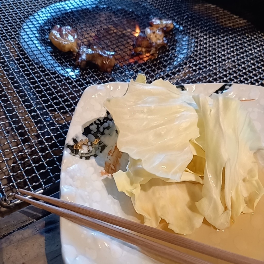 ユーザーが投稿した大王セットの写真 - 実際訪問したユーザーが直接撮影して投稿した平山鶏料理地どり庵 三蔵の写真