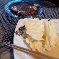 大王セット - 実際訪問したユーザーが直接撮影して投稿した平山鶏料理地どり庵 三蔵の写真のメニュー情報