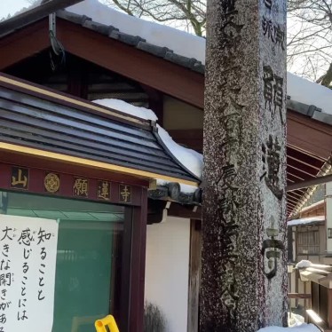 実際訪問したユーザーが直接撮影して投稿した八幡町島谷寺願蓮寺の写真