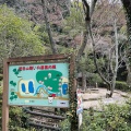 実際訪問したユーザーが直接撮影して投稿した祇園町公園武田山憩の森の写真