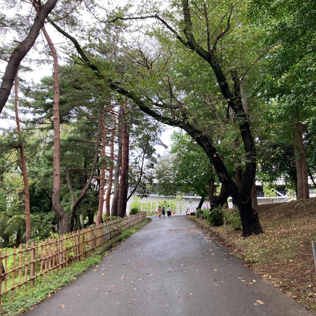 実際訪問したユーザーが直接撮影して投稿した弁天公園千葉公園の写真