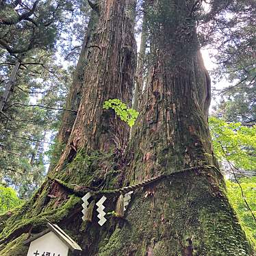 実際訪問したユーザーが直接撮影して投稿した千早山 / 峠金剛山の写真