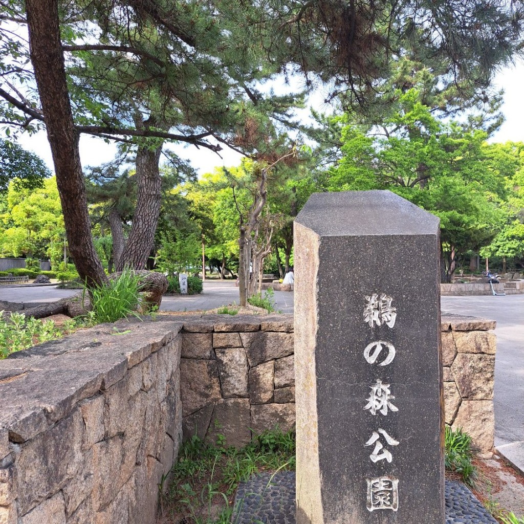 実際訪問したユーザーが直接撮影して投稿した鵜の森公園鵜の森公園の写真