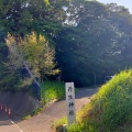 実際訪問したユーザーが直接撮影して投稿した谷津神社丹生神社の写真