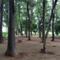 実際訪問したユーザーが直接撮影して投稿した寺田公園あけぼの市民緑地の写真