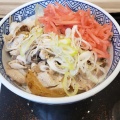 ねぎ塩豚丼 - 実際訪問したユーザーが直接撮影して投稿した永山三条牛丼吉野家 旭川永山店の写真のメニュー情報