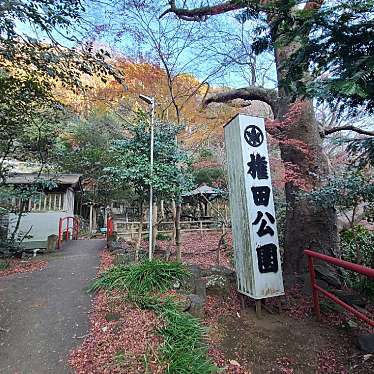 実際訪問したユーザーが直接撮影して投稿した大山公園権田公園の写真