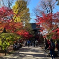 実際訪問したユーザーが直接撮影して投稿した奥沢寺九品仏 淨真寺の写真