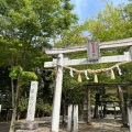 実際訪問したユーザーが直接撮影して投稿した大塚戸町神社一言主神社の写真